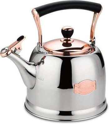 3L Edelstahl-Wasserkocher für Camping Tee in Teekanne mit Griff pfeifend, Gold