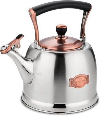 3L Edelstahl-Wasserkocher für Camping Tee in Teekanne mit Griff pfeifend, Silber