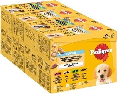 Pedigree Dogcare Hundefutter Portionsbeutel Chunks in Gelee Junior 4 x 12 x 100g