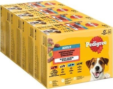 Pedigree Dogcare Hundefutter Portionsbeutel Chunks in Gelee Adult 4 x 12 x 100g