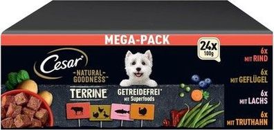 Cesar Natural Goodness Premium Hunde Nassfutter in 4 Varietäten Megapack 24x100g