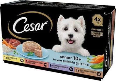 Cesar Senior 10 + , Futter, ältere Hunde, Verschiedene Auswahl, 150 g, 24 Schalen