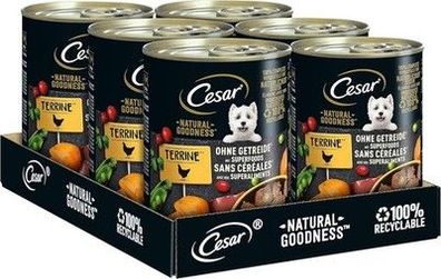 Cesar Adult Hundenassfutter Natural Goodness, 6 Dosen, 6x400g – Hundefutter nass