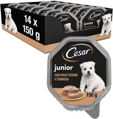 Cesar Junior Hundefutter Welpe Puppy, Truthahn und Kalb - 150 g - 14 Schalen