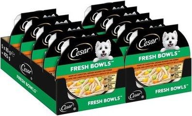 Cesar Schale mit Huhn, Karotte und Bohnen in Soße (2 x 5 x 85 g) Hunde-Futter