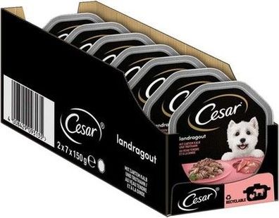 Cesar Hundefutter Nassfutter Landküche Kalb & Truthahn (7 x 2 Schalen x 150 g)