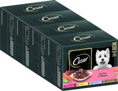 Cesar Adult Hundenassfutter Selektion in Sauce, 48 Portionsbeutel, 4x 12x100g