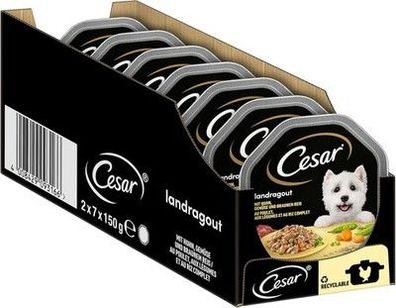 Cesar Hundefutter Nassfutter Huhn, Reis, Gemüse (7 x 2 Schalen x 150 g) Futter