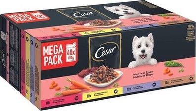Cesar Selektion Sauce Premium Hunde Nassfutter im Beutel, 4 Varietäten, 40x100g