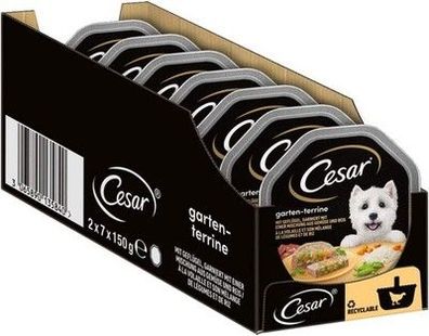 Cesar Hundefutter Nassfutter - Geflügel und Gemüse (7 x 2 Schalen x 150 g)