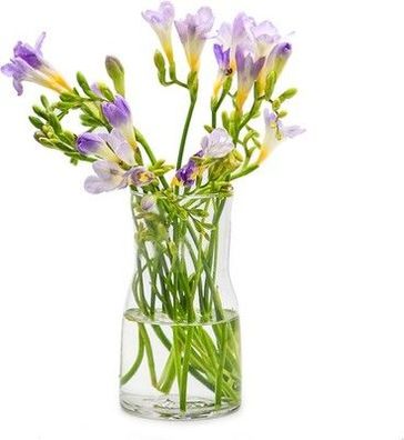 Offidix Glas-Vase Transparent Modern Style Dekorative Glas Blumenvase Dekoration