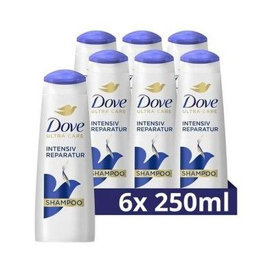 Dove Shampoo Intensiv Reparatur strapazierte Haare Smart Repair System 6x250ml