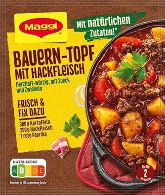 MAGGI Fix für Bauern-Topf mit Hackfleisch, Würzmischung, 10er Pack (10 x 39g)