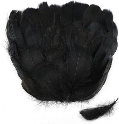 Natürliche Federn 8-12cm, 300 Stück, Feder für Basteln, Hochzeit Deko, Fasching