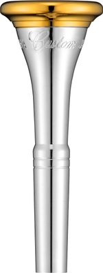 Yamaha 31-GP Waldhorn