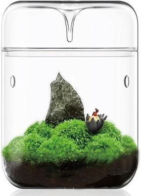 Kleines Glas-Pflanzenterrarium 12x17,5 cm Sukkulenten-Luftplanter, Terrarium