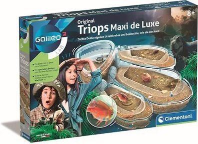 Clementoni Galileo Lab Triops Maxi de Luxe, Züchten & Beobachten: Urzeitkrebse