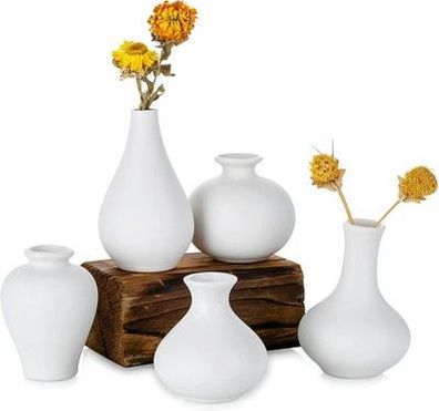 Sziqiqi Kleine Weiß Keramik Vasen 5er-Set, Mini Handmade Keramikvasen für Blumen