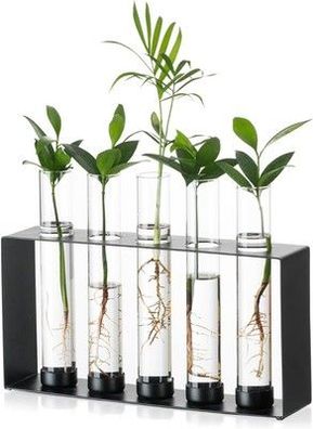 Sziqiqi Pflanzen Propagation Station - Glas Terrarium Vase mit 5 Reagenzgläsern