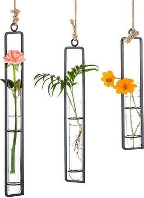 Sziqiqi Kreativer Glasvase aus Schmiedeeisen, Hängender Behälter Garten, Schwarz