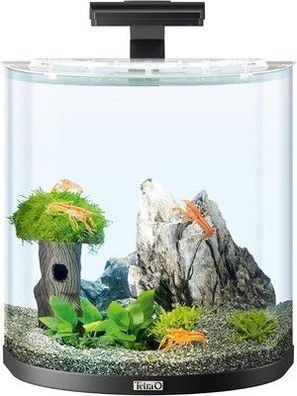 Tetra Line 30 L Aquarium Komplett-Set - Aquarium mit LED-Beleuchtung