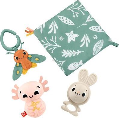 Fisher-Price Baby Sensorisch Geschenk-Set für Babys, Kleinkind, Spielzeug