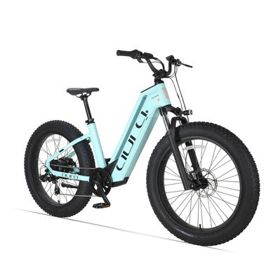 Cyrusher Aura 26"city-pendler-elektrofahrrad,250W, ydraulische scheibenbremsen,80km