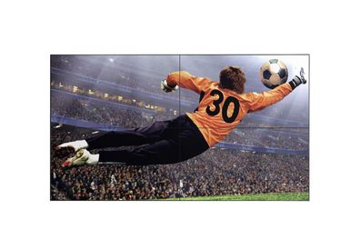 LG LCD-Display 49VL5G-M - 124 cm (49") - 1920 x 1080 Full HD