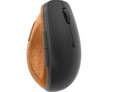 Lenovo Go - Maus - ergonomisch - optisch blau - 6 Tasten - kabellos - 2.4 GHz - kabel