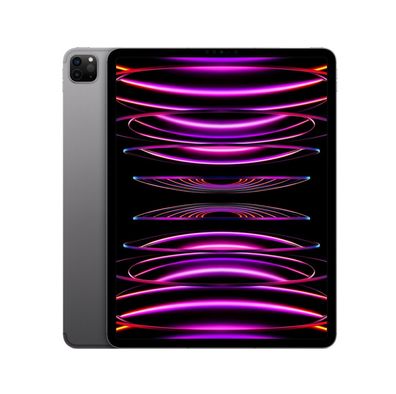 Apple iPad Pro 11 (2022) 8 GB RAM 128 GB iPadOS 12 MP WiFi Spacegrau - Kaufen