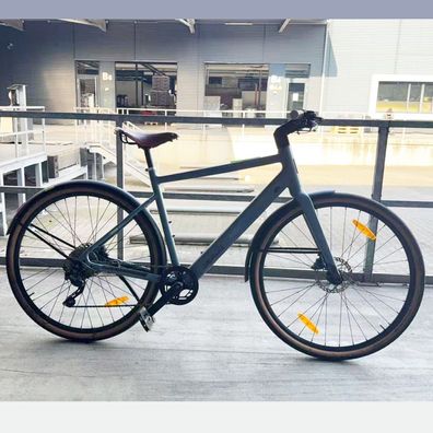 DERUIZ ebike 28" Drehmomentsensor 40Nm Shimano 10 Gang Riemenantrieb Turmali Premium