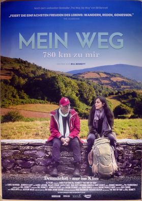Mein Weg - 780 km zu mir - Original Kinoplakat A0 - Chris Haywood - Filmposter