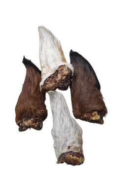 Kausnack für Hunde große 100% Pferdeohren mit Fell - 100% Natur & Hypoallergen