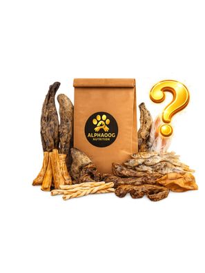 XXL Mystery Knabberbox / Snackbox: Die besten Kauartikel Überraschung für Hunde