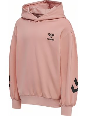 Hummel Kinder Hoodie Hmldue 213903