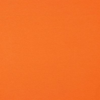 Bio Jersey Uni Orange 24