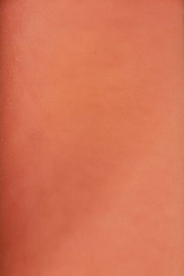 Feiner Tüll uni salmon 30