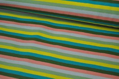 Jersey Littel Darling bunte Streifen 2