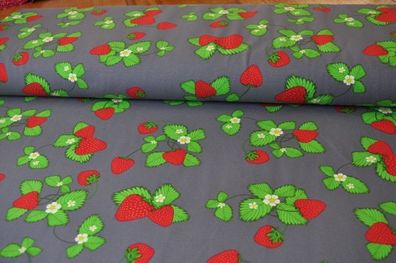 Jersey Dapper Erdbeeren groß grau