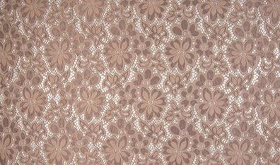 Spitzenstoff Eva Taupe 55
