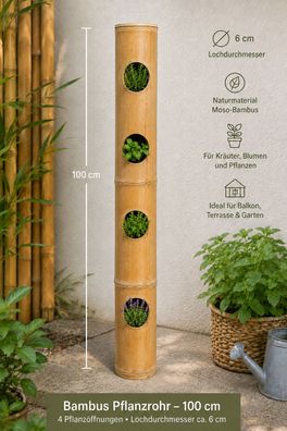 Bambusrohr 100 cm mit Pflanzöffnungen - Ideal für kreative Bepflanzungen