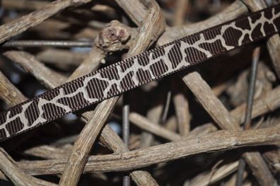 Ripsband * leo* hellbraun/dunkelbraun schmal 1cm