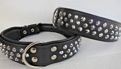 LEDER Halsband - Hundehalsband, NIETEN, Halsumfang 60 - 71cm, Schwarz NEU