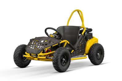 80cc Kinder Buggy GoKid Automatik Offroad quad bike gokart