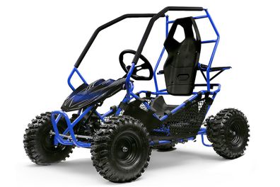 Nitro Motors Eco Gokart Crosser 1000W 36V 2-Stufen Drossel Kinderbuggy Kinder-Quad