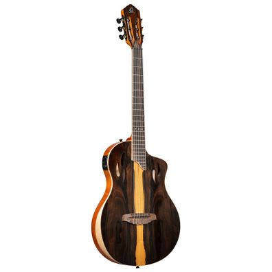 Ortega RTP-LTD Tourplayer Limited