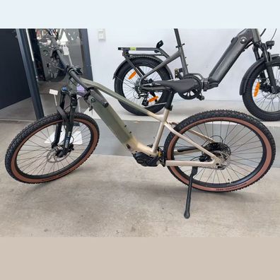 DERUIZ 29" E-Bike Dolomit Mittelmotor 250W/110 Nm,48V/720Wh Samsung-Akku, MTB,48RH