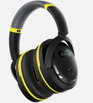 Kerbl Works Multimedia Gehörschutz Protect (mit FM Radio + Bluetooth-Funktion)