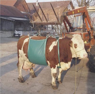 Kuhhebevorrichtung bis 1000 kg - Hebegerät Kühe Kälber Rinder Rind Kuh Kuhheber