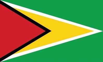 Guyana Flagge Aufkleber Sticker Fahne selbstklebend 5-60cm breit ES-FL-GUY